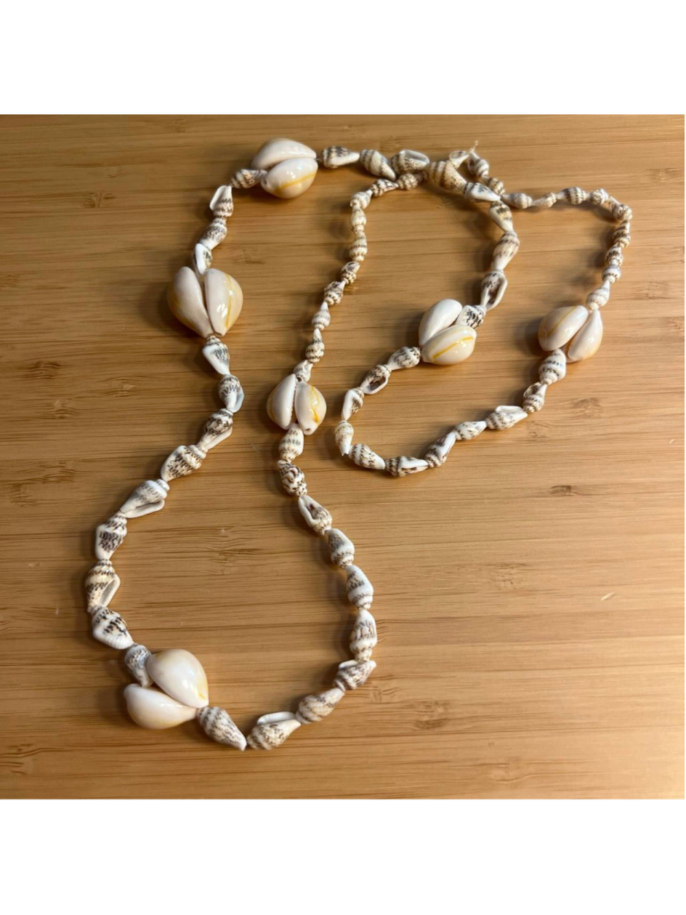 Shell necklace